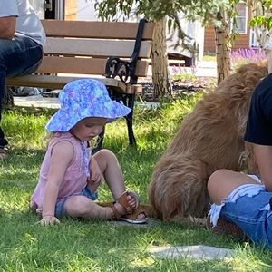 Meet your Posher, Toni